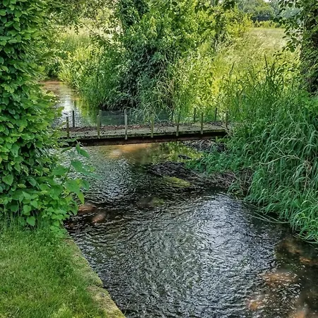 Les Pieds Dans L'eau, Berce Par L'avre *